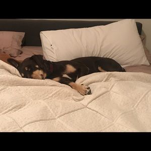 Meet your Posher, Karla